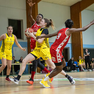 08/03/2025 - NF2 - Stade Rochelais 61 / 80 Chauray