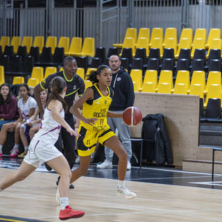 14/01/2024 - U15 Filles Élite - Stade Rochelais 43 / 71 Tarbes