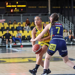 19/03/2023 - NF3 - Stade Rochelais 67 / Chantonnay 54