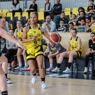 19/03/2023 - NF3 - Stade Rochelais 67 / Chantonnay 54