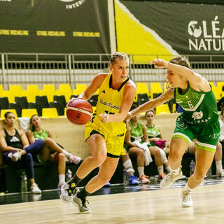 30/09/2023 - NF2 - Stade Rochelais 44 / 72 Ambitions Girondines