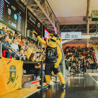 Elite 2 - Stade Rochelais 81 / 85 Élan Béarnais