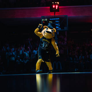 Elite 2 - Stade Rochelais 81 / 85 Élan Béarnais