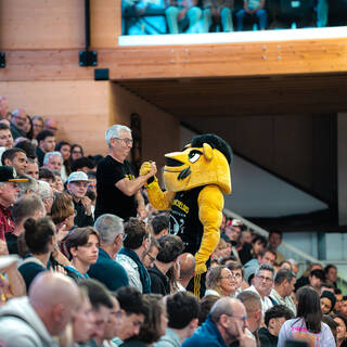 Elite 2 - Stade Rochelais 88 / 98 Nantes