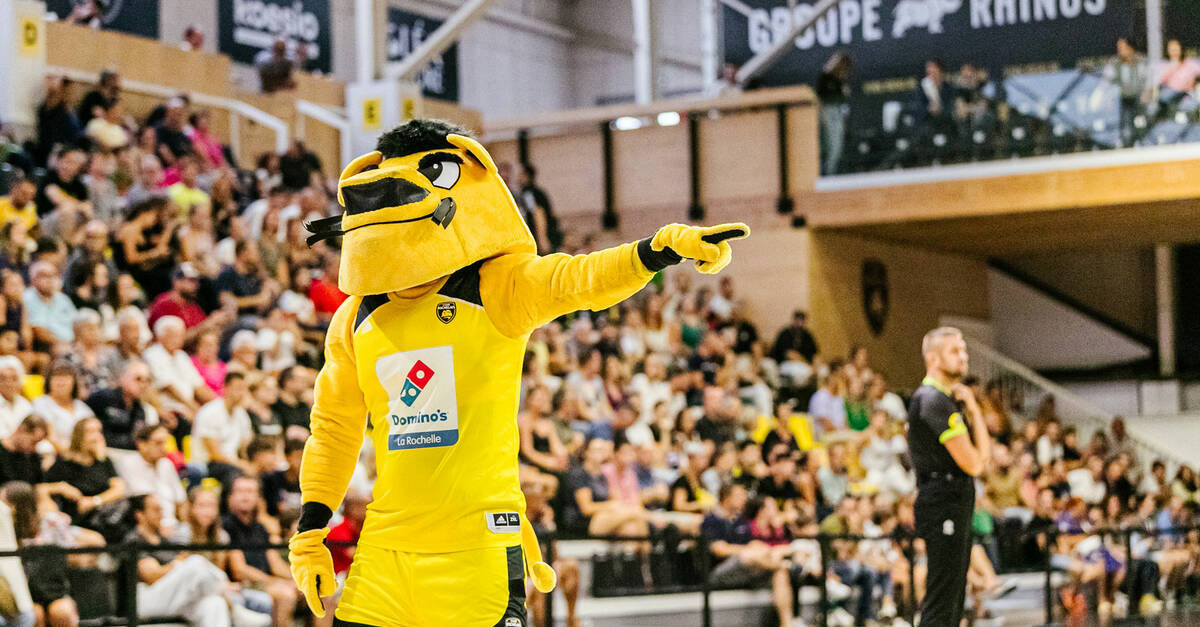 Fan Experience Stade Rochelais Basket