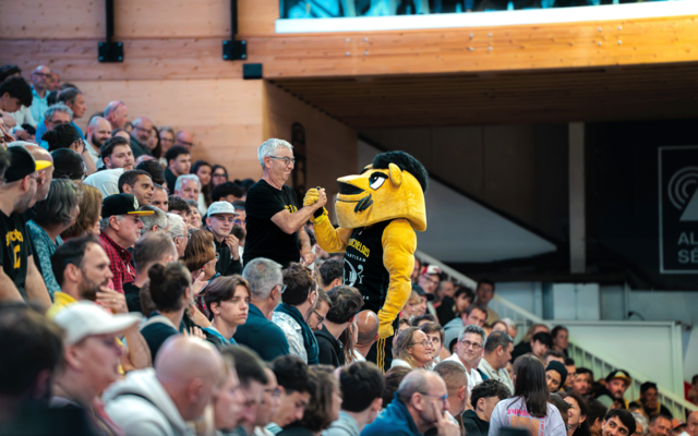 Évreux, le programme de votre soirée !