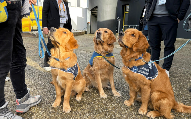 Handi’Chiens, des compagnons au service de l’autonomie