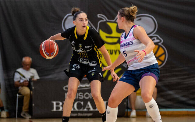 Le calendrier de la NF2 disponible ! 