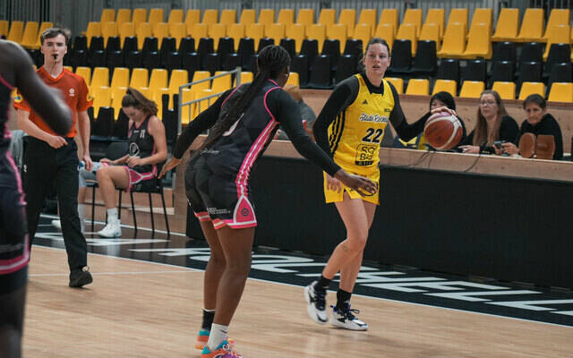 Les Espoirs Pro B et la NF2 en déplacement !