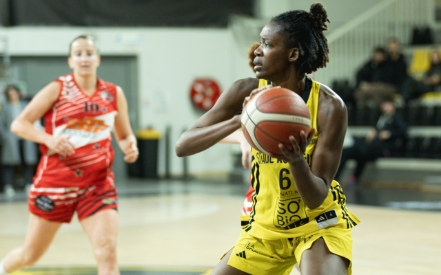 NF2 & Espoirs, l'avant-match !