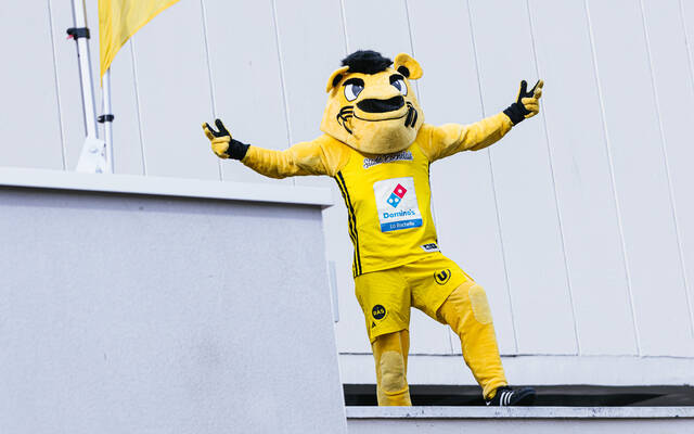 Record d'audience sur LNB TV pour les Rochelais !