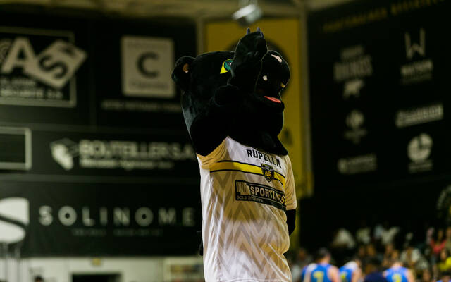 Toutes les animations autour du derby !