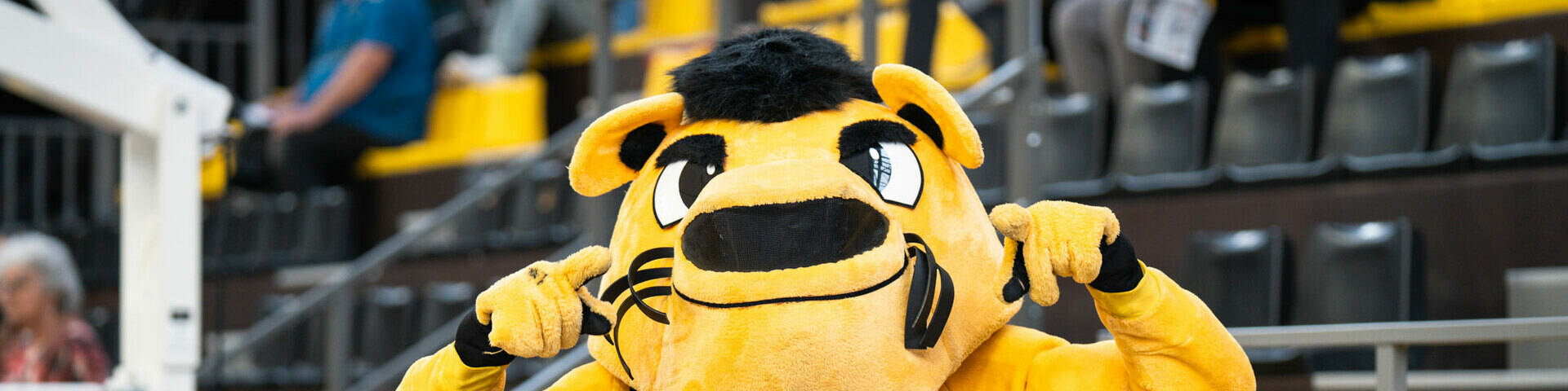 Le Club recherche une mascotte et un cadreur pour la saison 2025/2026 ! 