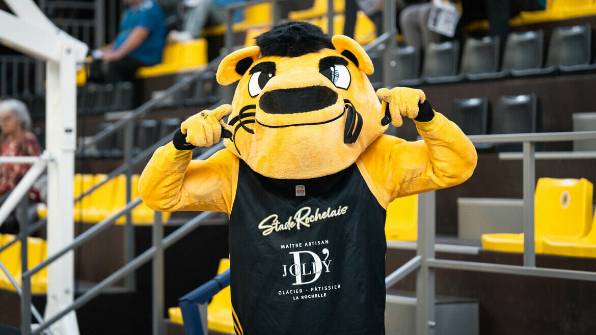 Le Club recherche une mascotte et un cadreur pour la saison 2025/2026 ! 