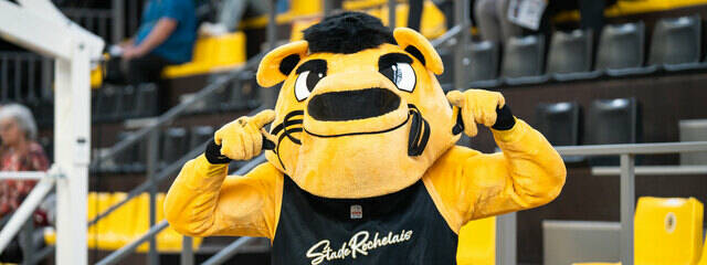 Le Club recherche une mascotte et un cadreur pour la saison 2025/2026 ! 