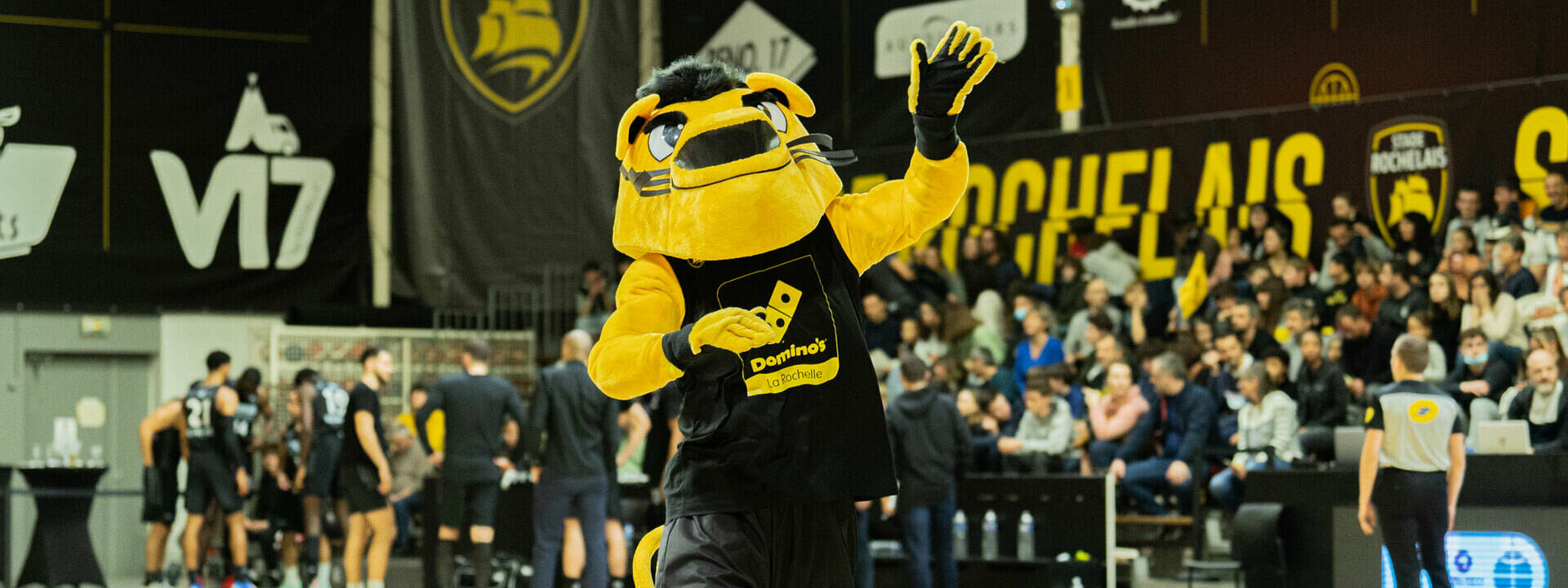 La campagne d'abonnement est ouverte ! | Stade Rochelais Basket